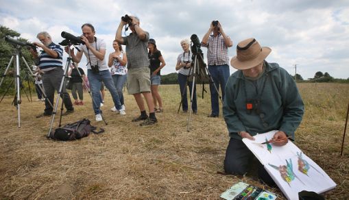 European Bee-Eaters Arrive In Norfolk And Attempt To Nest