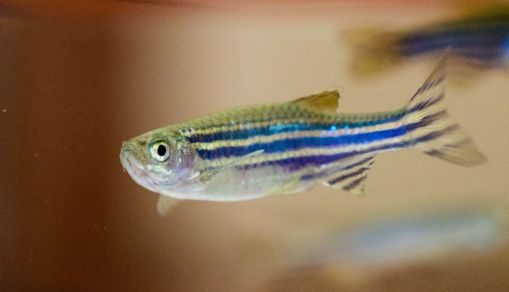 HONG KONG-HEALTH-RESEARCH-SUNSCREEN-ENVIRONMENT-POLLUTION