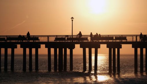 Northeast fall season