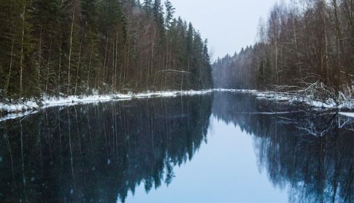 Lake north surrounded by trees