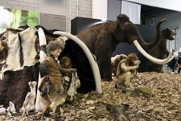 New Research Using Zinc Isotope Analysis Suggests Neanderthals Could be ...