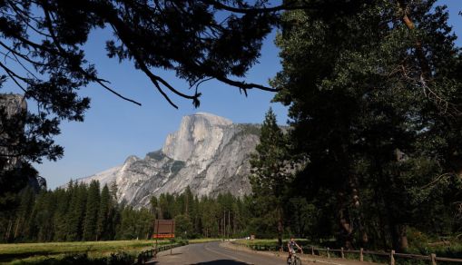Firefighters Continue To Work On Washburn Fire That's Threatening A Sequoia Grove In Yosemite National Park