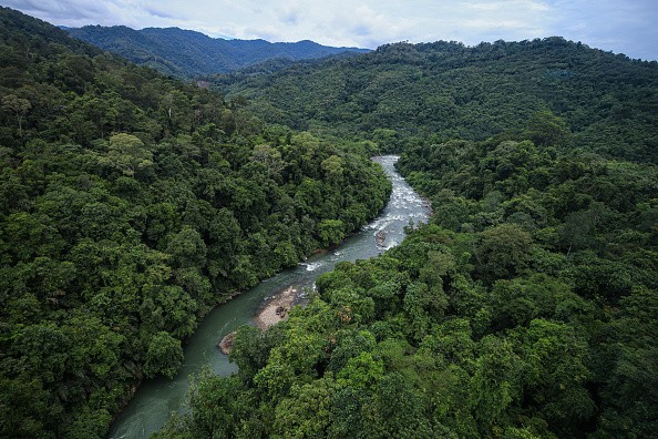 Penampang district reserve forest