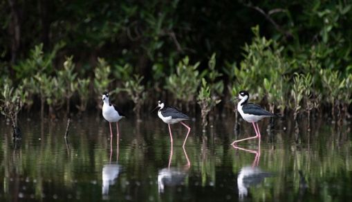 Venezuela, on October 4, 2022