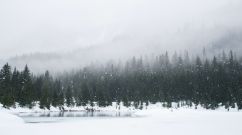 Snowshoeing on a snowy day at Gold Creek Pond
