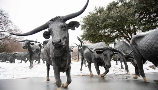 February 3, 2022 in Dallas, Texas