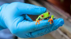 Exotic Fauna zoo in Managua, on June 27, 2022