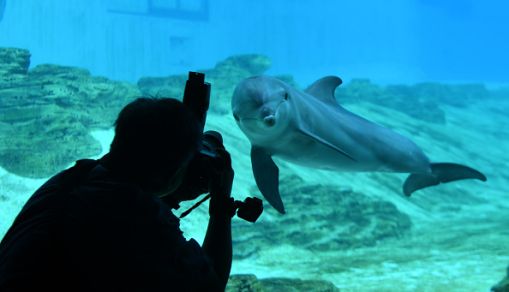Resorts World Sentosa in Singapore on September 3, 2018