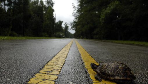 August 23, 2008 in Jacksonville, Florida