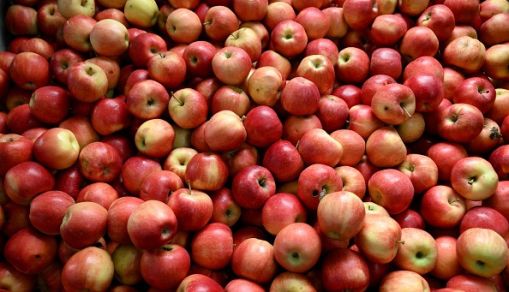 FRANCE-AGRICULTURE-ENVIRONMENT