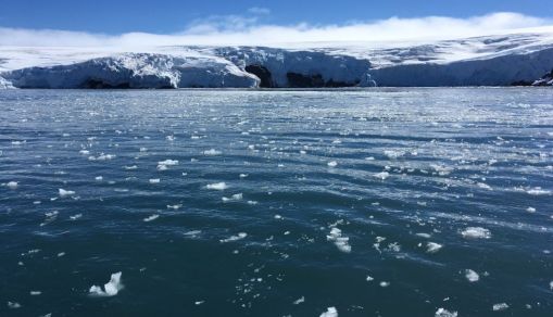Antarctic Sea Ice Cover