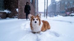 Major Snowstorm Pummels Minneapolis/St Paul Area