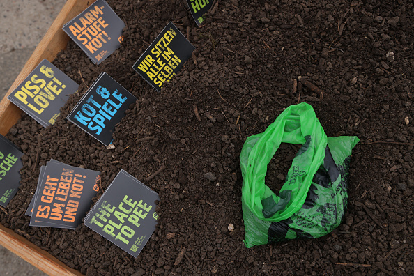 Mulching: How Does This Process Affects Different Flower-visitor ...