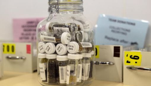 Kew Millennium Seed Bank Project