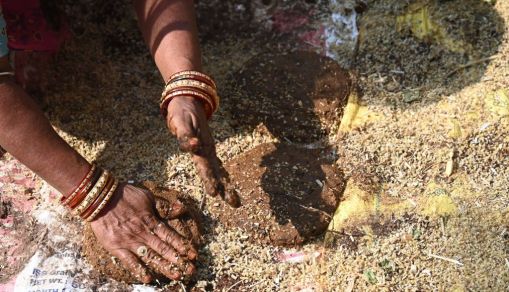 INDIA-NATURE-ENVIRONMENT-UN