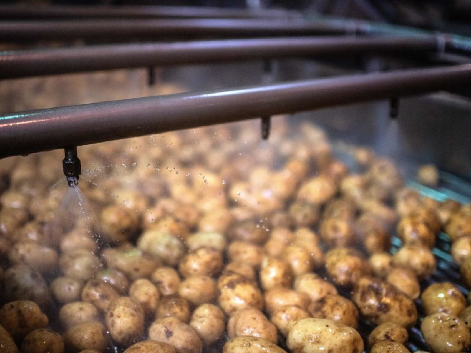 FRANCE-FOOD-FRIES-MCCAIN