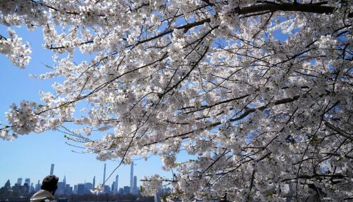 Central Park, New York. The latest weather forecast showed that chilly weather conditions are forecast in parts of the Midwest and Northeast this week, causing potential colder temperatures.