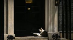 BRITAIN-POLITICS-ANIMALS-OFFBEAT
