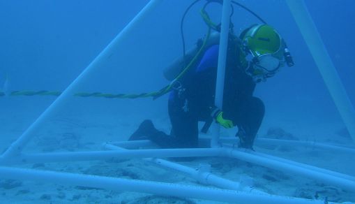 Key Largo Underwater