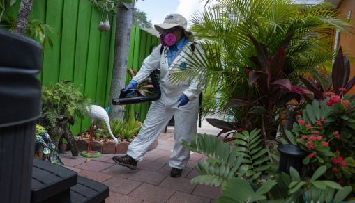 Malaria Cases Reported in Texas, Florida: Potential Growing Problems, Experts Say