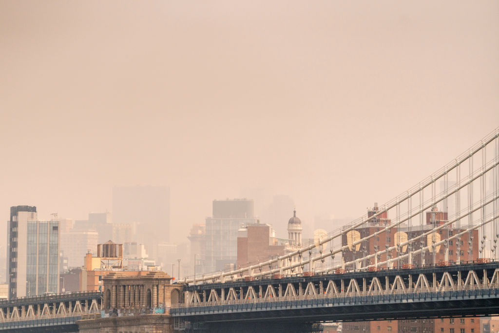 Unpredictable Pitch Conditions New York City The Anatomy of Surface Unpredictability