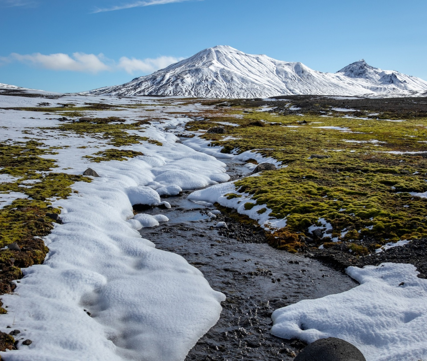 Tundra Biome Tundra And Alpine Ecosystem Of Pakistan Climatic Biome Tundra Biome Tundra And Alpine Ecosystem Of Pakistan Climatic Biome