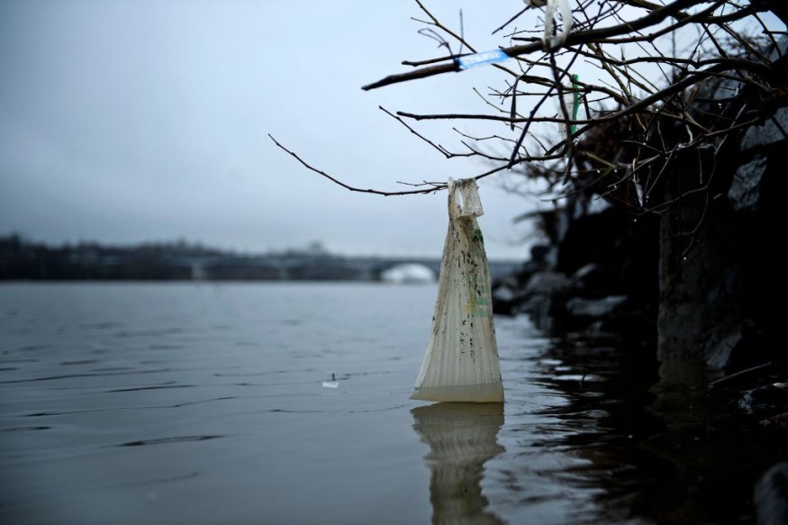 The banks of the Anacostia River
