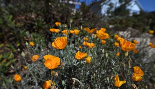 US-WATER-ENVIRONMENT-DROUGHT