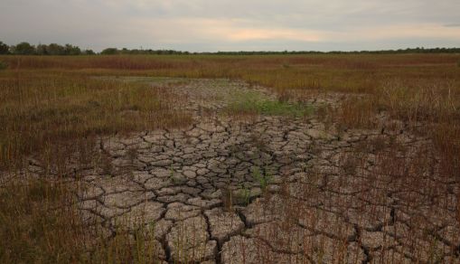 Climate Change Losses Reach $140B Per Year with Prolonged Droughts, Heatwaves, Storms