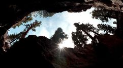 A large earthquake fault on the north side of Mammoth Mountain was a glaring example of seismic activity in the Long Valley Caldera.