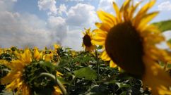 UKRAINE-RUSSIA-CONFLICT-WAR