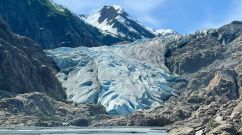 Glacier Point Wilderness Safari