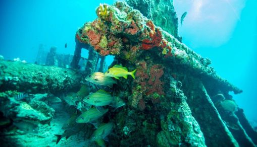 US-ENVIRONMENT-OCEANS