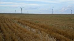 California Fruit and Nut Shortage