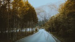 Wild Crossings Program