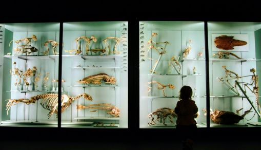 3 women sitting on chair in front of white framed glass window