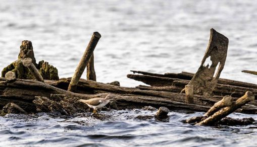 shipwreck