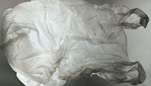 California Plastic Ban: New Bill May Prohibit Use of Plastic Shopping Bags at Grocery, Food Stores Starting January 2026