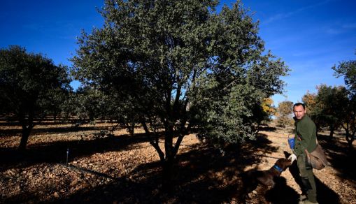 SPAIN-FOOD-AGRICULTURE-CONSUMERS-LUXE