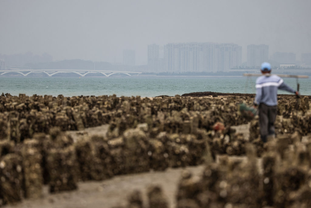 Taiwan Shell Fish Shellfish Poisoning Caused by Algal Blooms Prompt Unprecedented Closure ...