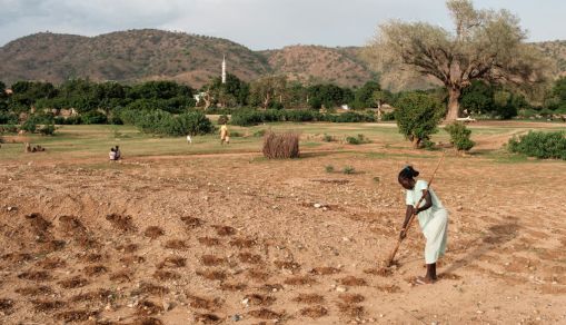 SUDAN-CONFLICT-AGRICULTURE-WATER